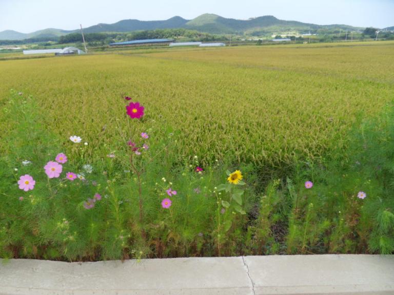 SDC10496.JPG
