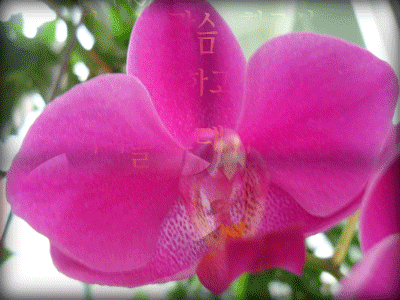 2012.9.18-2.gif