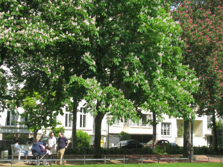 bonn,보름달 006.jpg