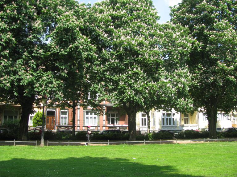 bonn,보름달 013.jpg