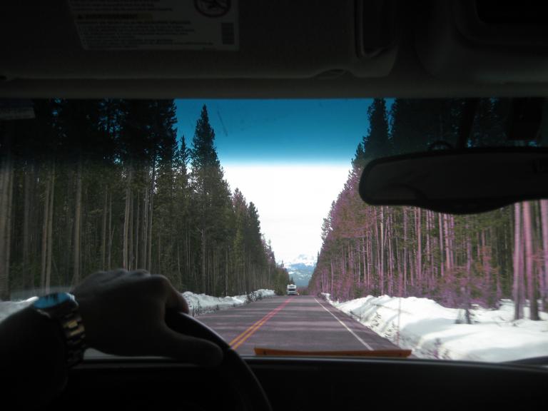 Yellowstone 860.JPG