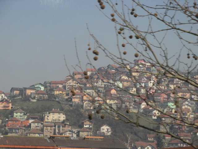 발칸2011 345.jpg