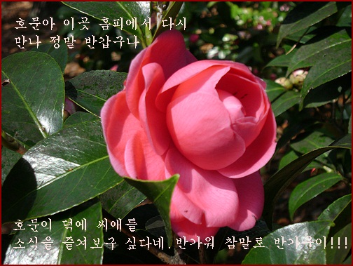 b-DSC03330.JPG