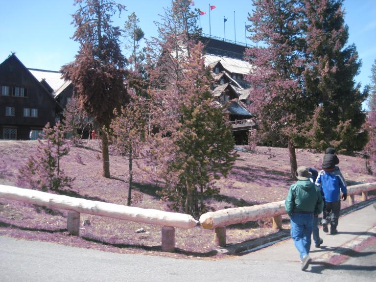 Yellowstone 319.JPG