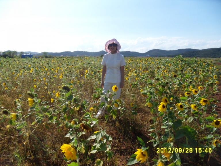 SDC15417.JPG