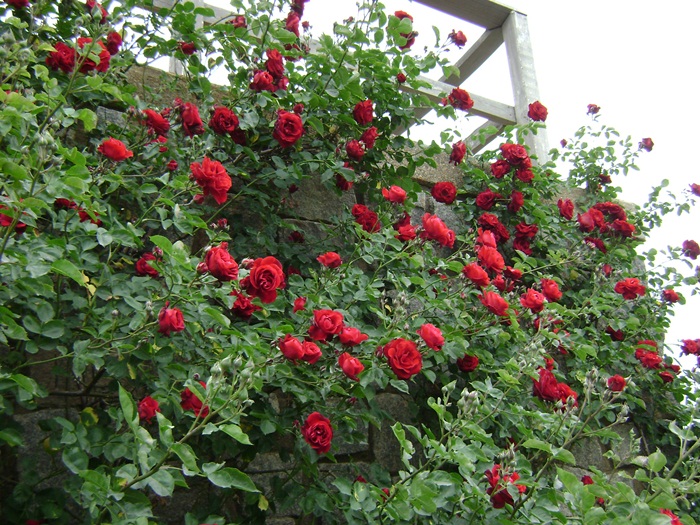 b-DSC04325.JPG