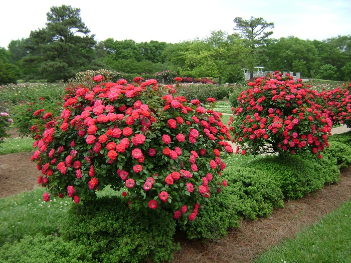 c-DSC04309.JPG
