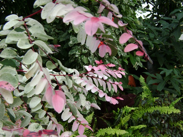 a-DSC02752.JPG