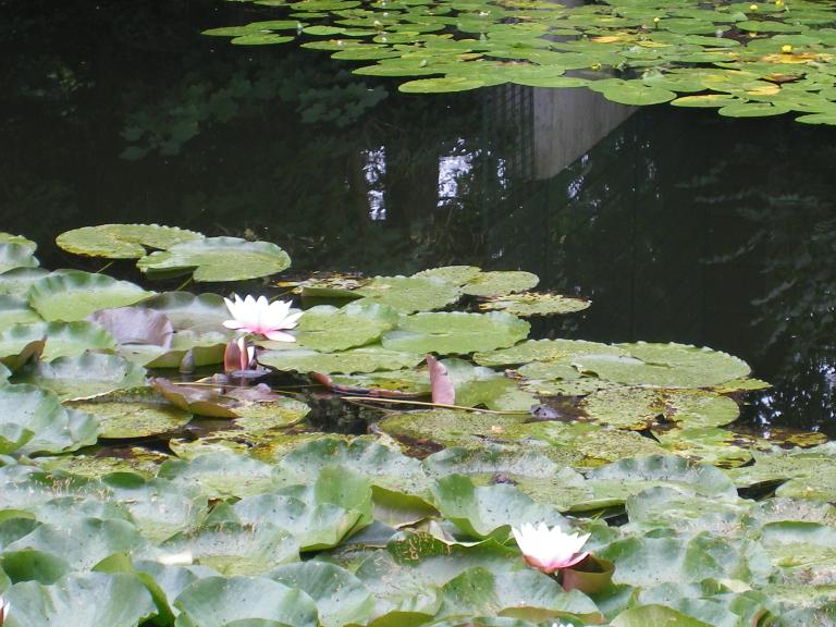 048_IMGP3896.JPG