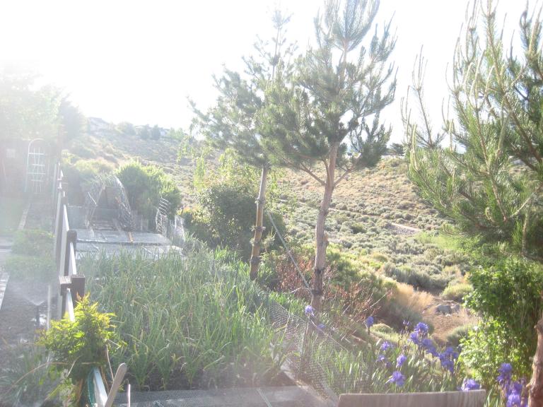 브로치 008.JPG