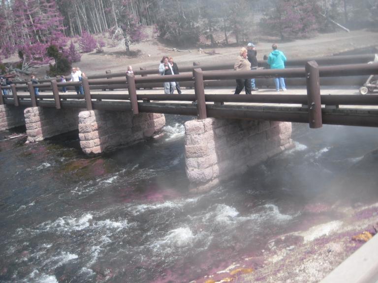 Yellowstone 427.JPG