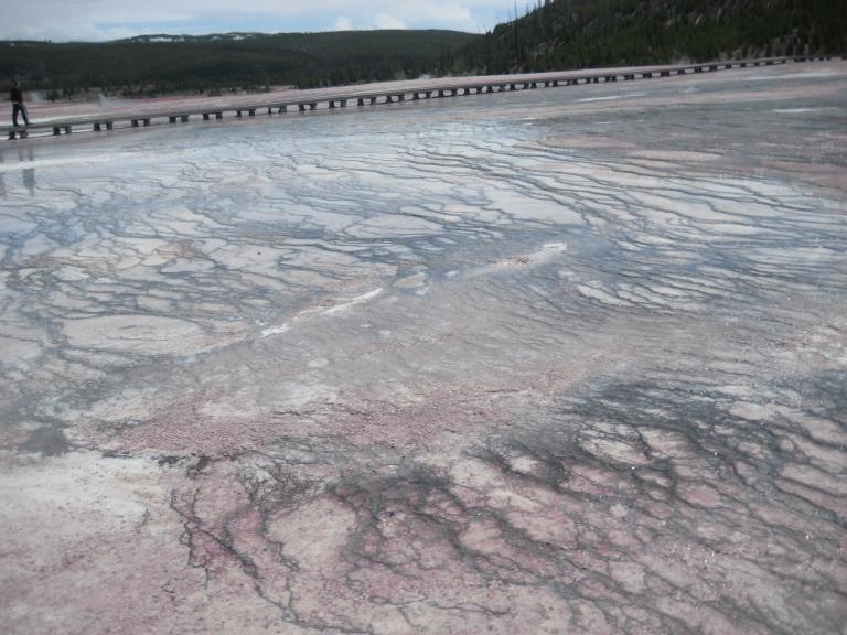 Yellowstone 433.JPG