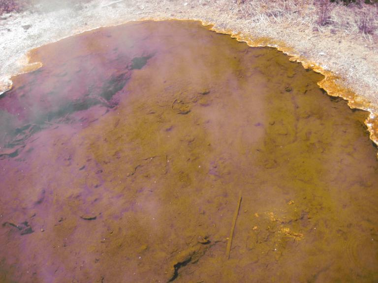 Yellowstone 389.JPG