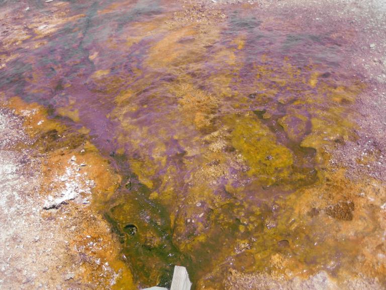 Yellowstone 394.JPG