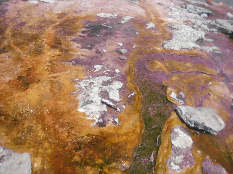 Yellowstone 396.JPG