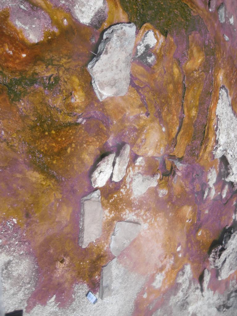 Yellowstone 397.JPG