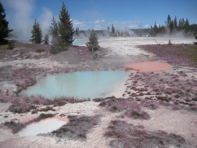 Yellowstone 405.JPG