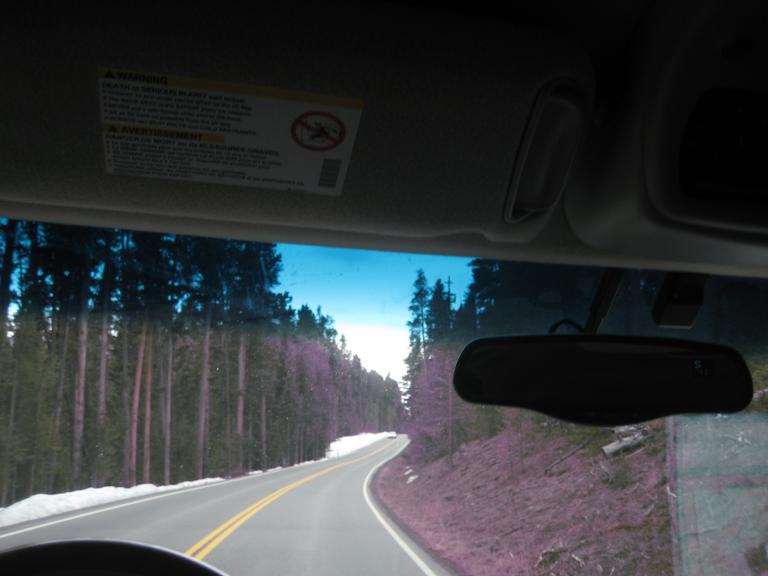 Yellowstone 588.JPG