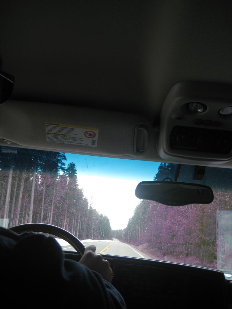 Yellowstone 594.JPG