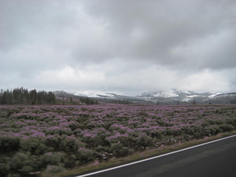 Yellowstone 641.JPG