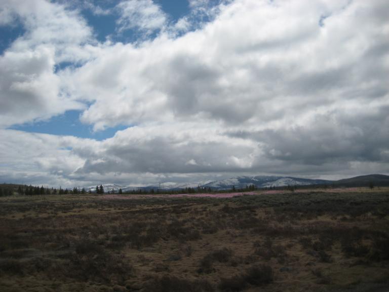 Yellowstone 664.JPG