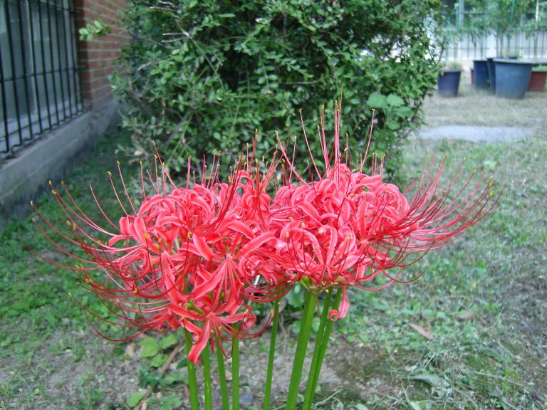 SNC12728.JPG