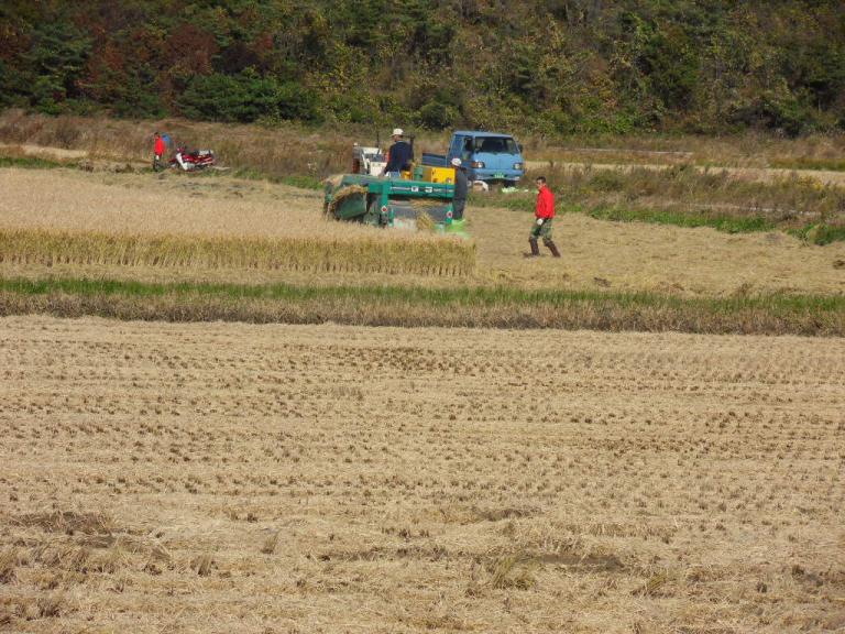 SDC10887.JPG