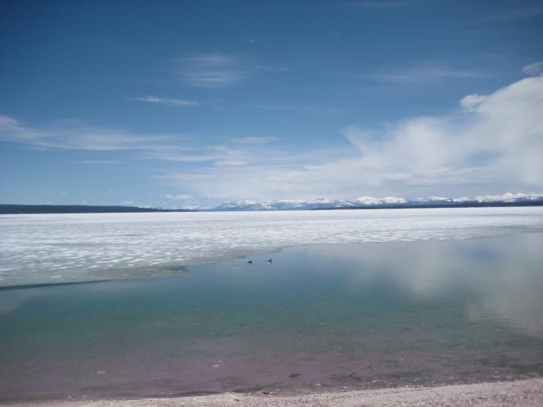 Yellowstone 385.JPG