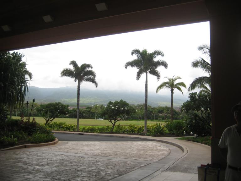Hawaii 221.JPG