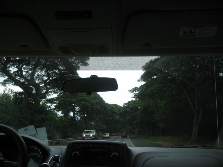 Hawaii 224.JPG