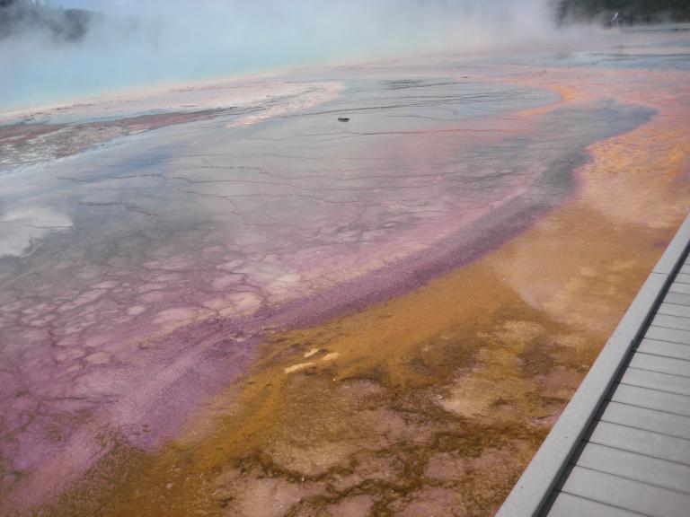 Yellowstone 438.JPG