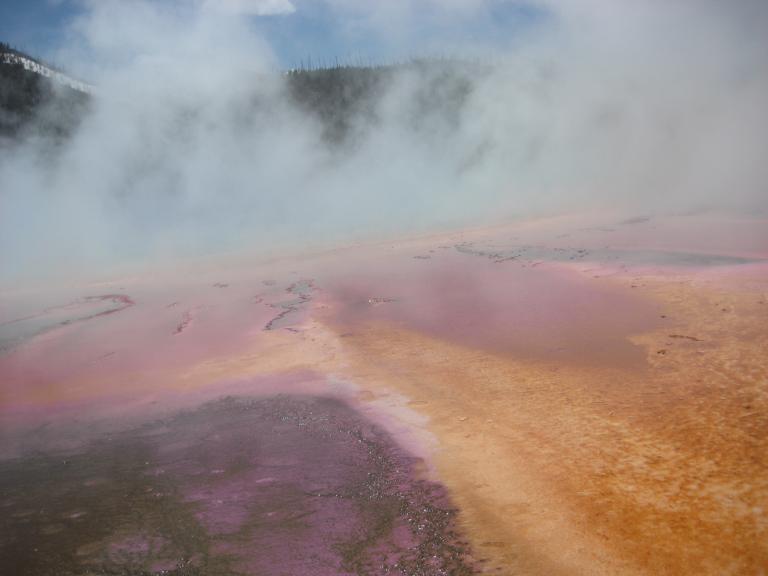 Yellowstone 441.JPG