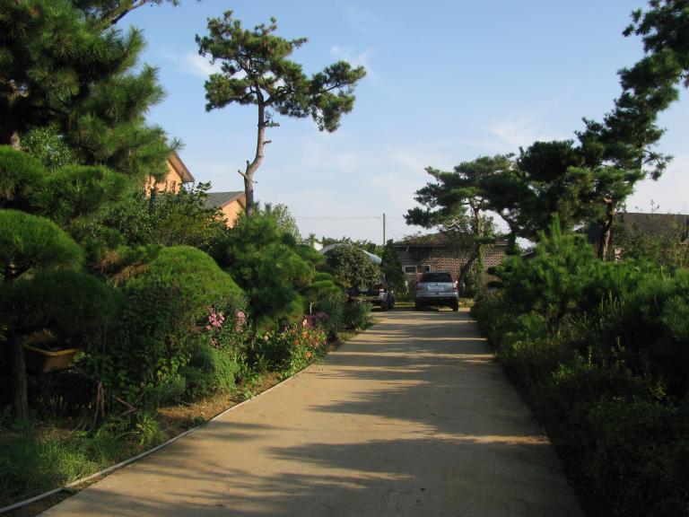 사진 239.jpg