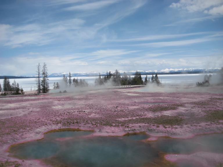 Yellowstone 407.JPG