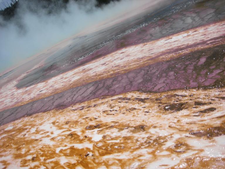 Yellowstone 445.JPG
