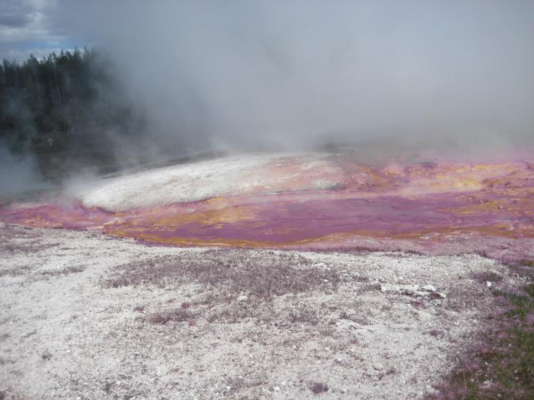 Yellowstone 447.JPG