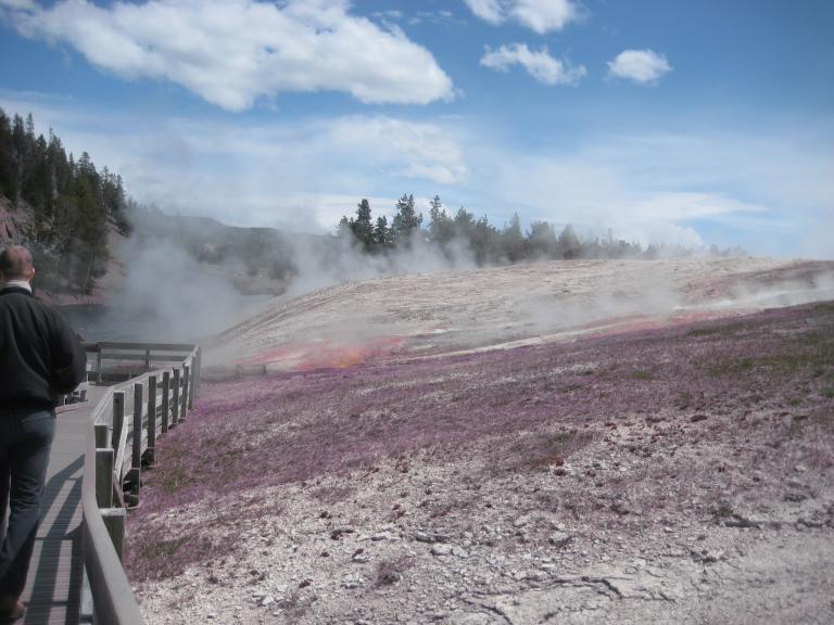 Yellowstone 448.JPG