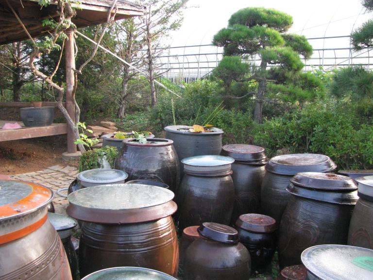 사진 191.jpg