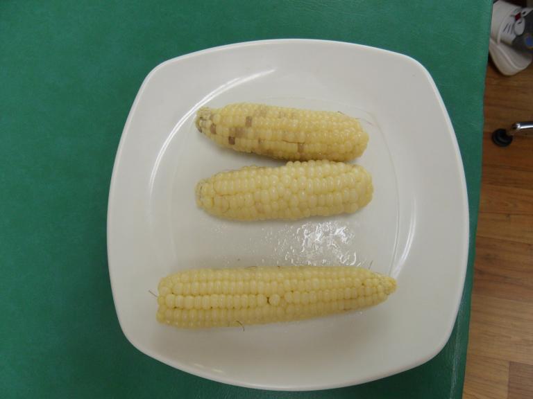 SDC11658.JPG