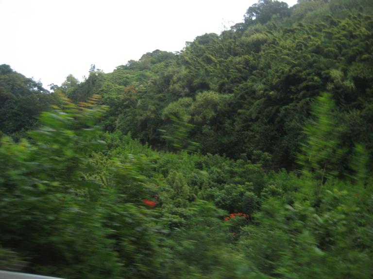 Hawaii 255.JPG