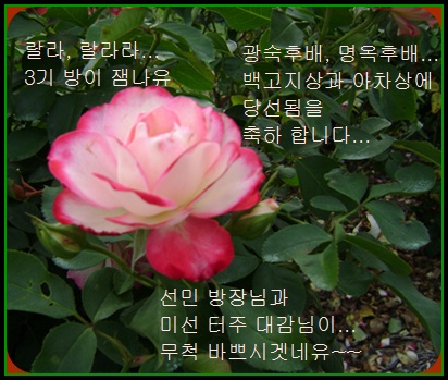 a-DSC01495.JPG