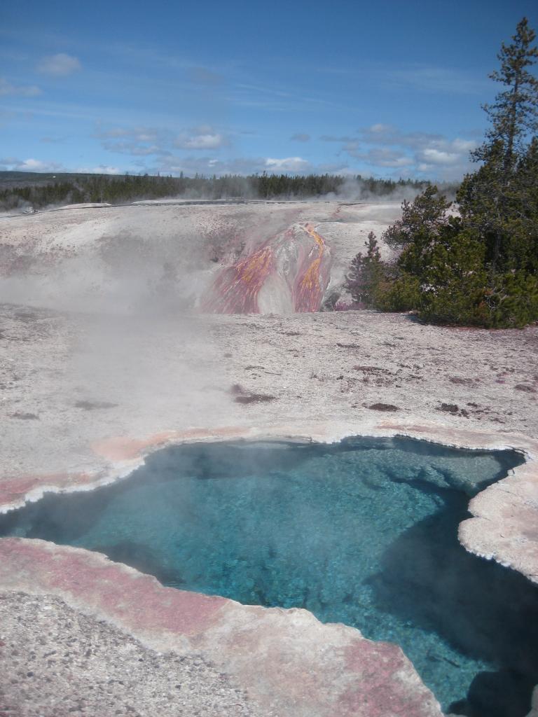 Yellowstone 306.JPG