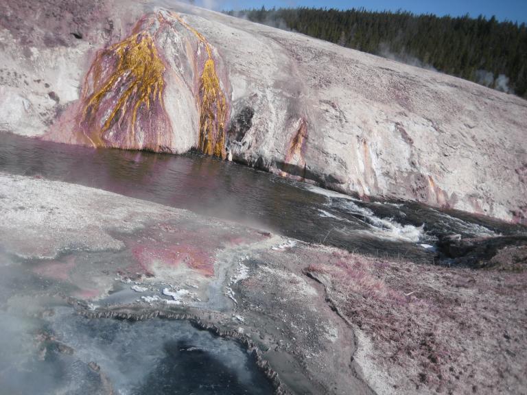 Yellowstone 310.JPG