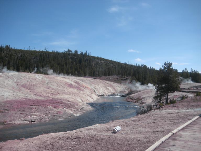 Yellowstone 315.JPG