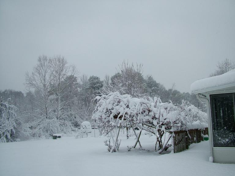 DSCF0184.JPG