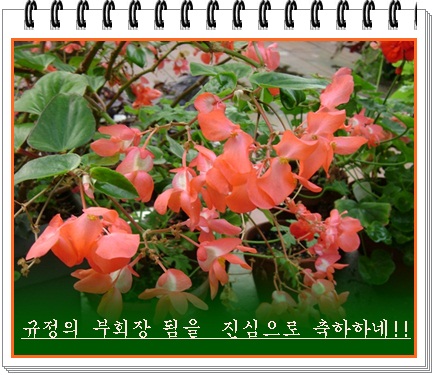 aa-DSC02754.JPG