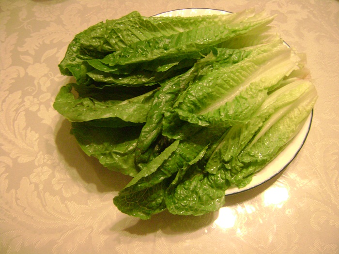 b-DSC05508.JPG