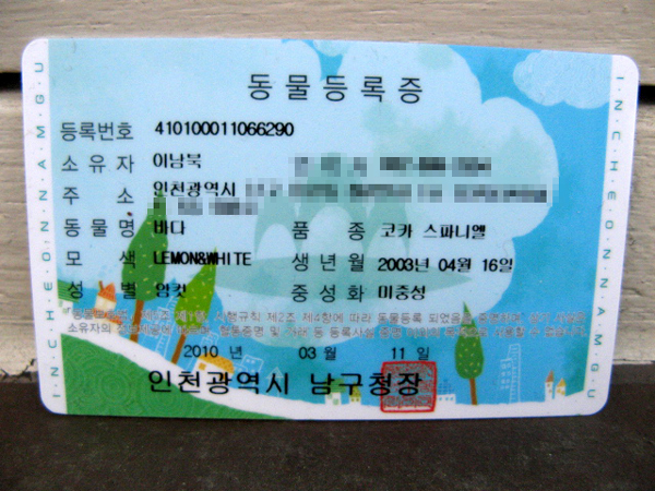 jeju.jpg