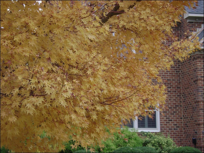 a-DSC05672.JPG