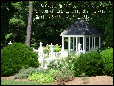 b-DSC00660.JPG
